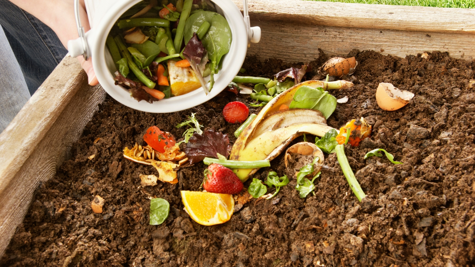 Compost Orgánico
